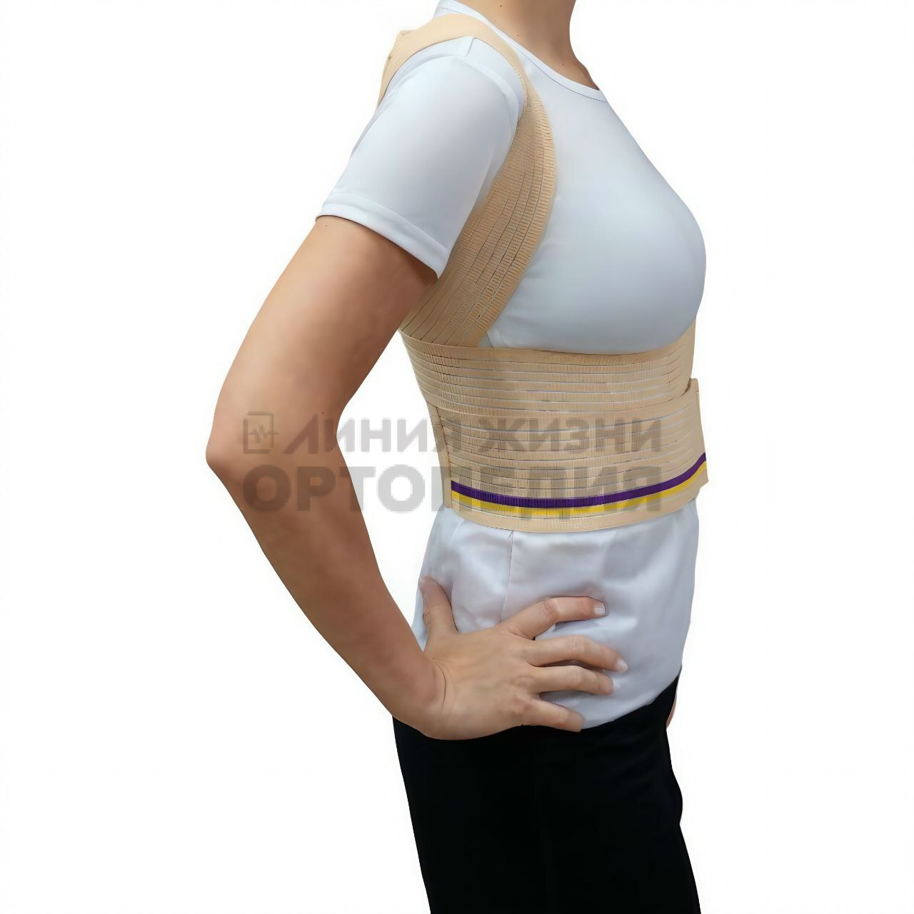 [Т.54.02] Корректор осанки