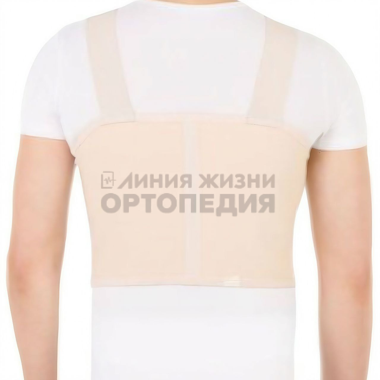 [Т.23.09] Бандаж ортопедический на грудную клетку (мужской)