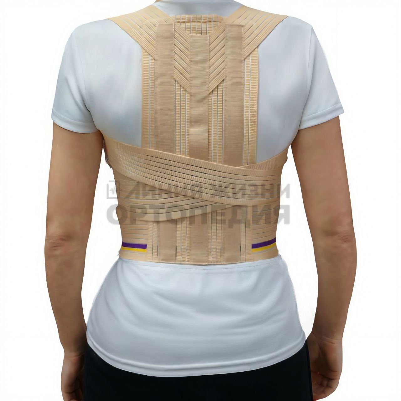 [Т.54.02] Корректор осанки