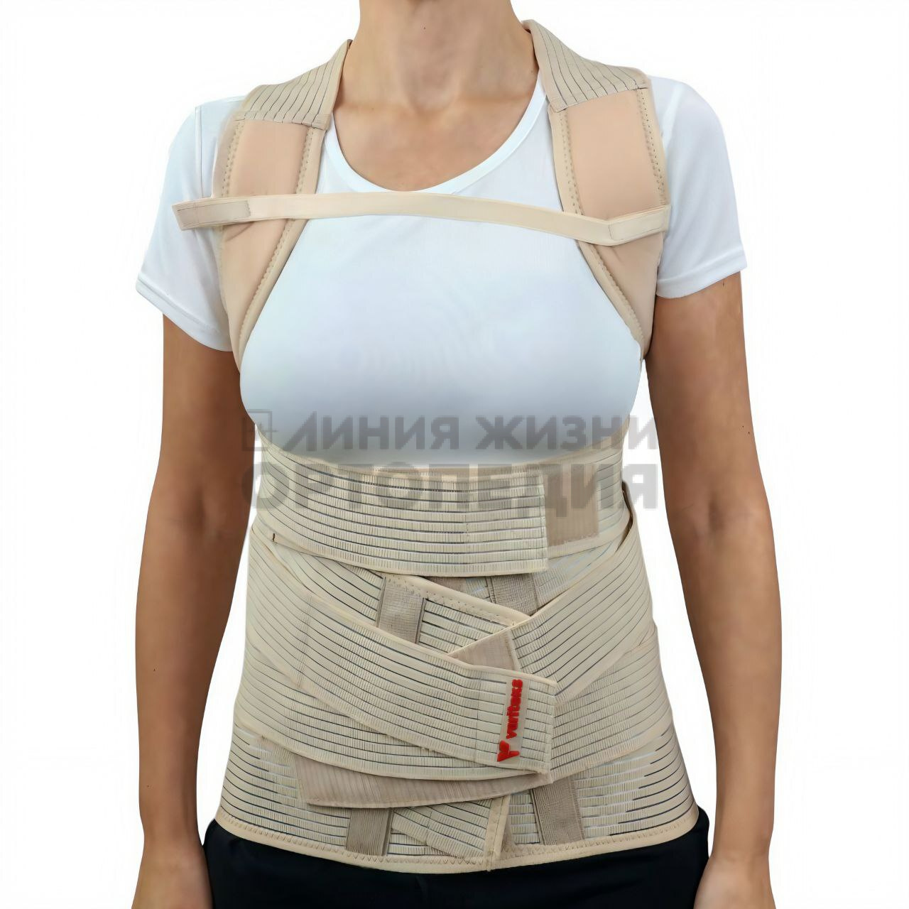 [140]Корректор осанки медицинский "VARITEKS" грудопоясничный