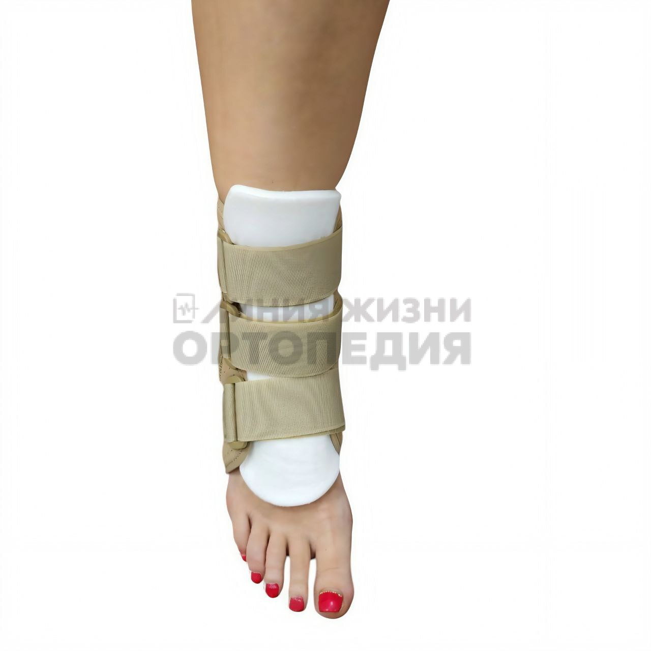 [Т.46.29] Бандаж компрессионный на голеностопный сустав с 4 пластинами с велкро