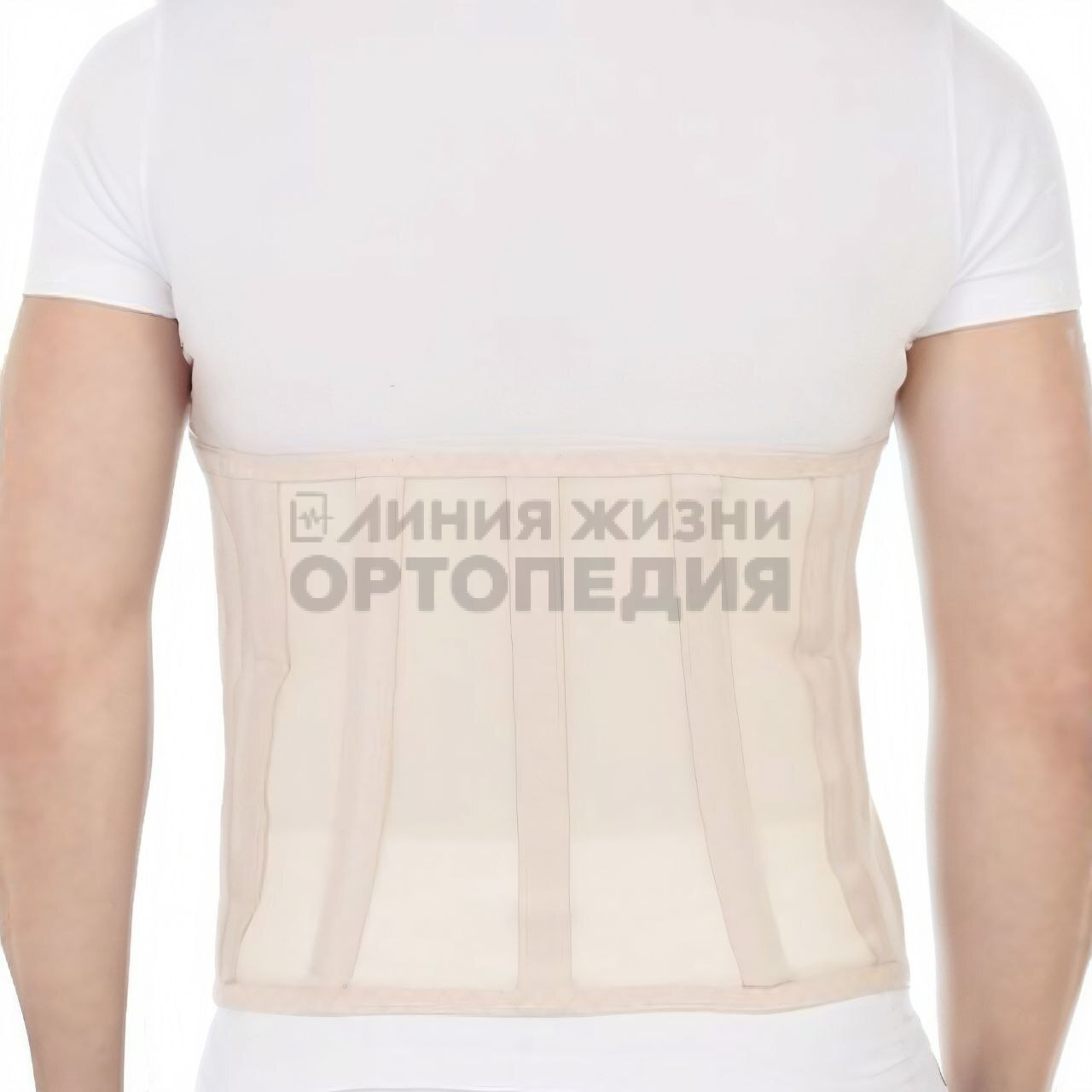 [Т.26.03] Бандаж ортопедический на брюшную стенку