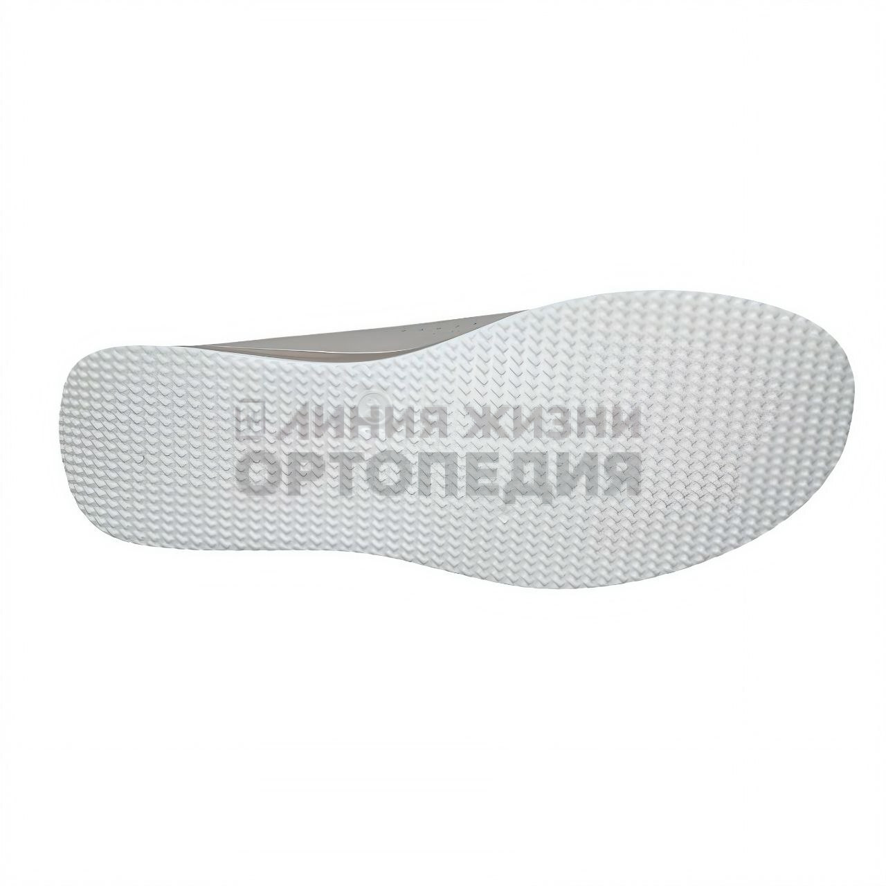 [C-R-GW-01-C] Мокасины  женские, [Кожа натуральная]