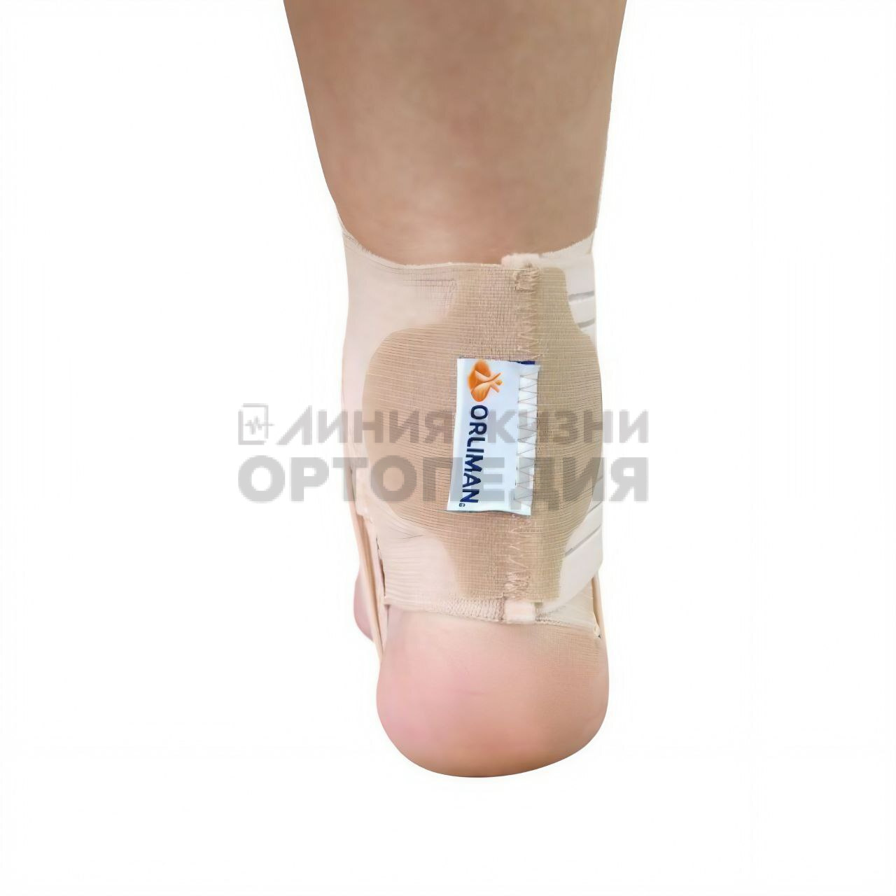 [TN-241] Регулируемый эластичный бандаж на голеностоп