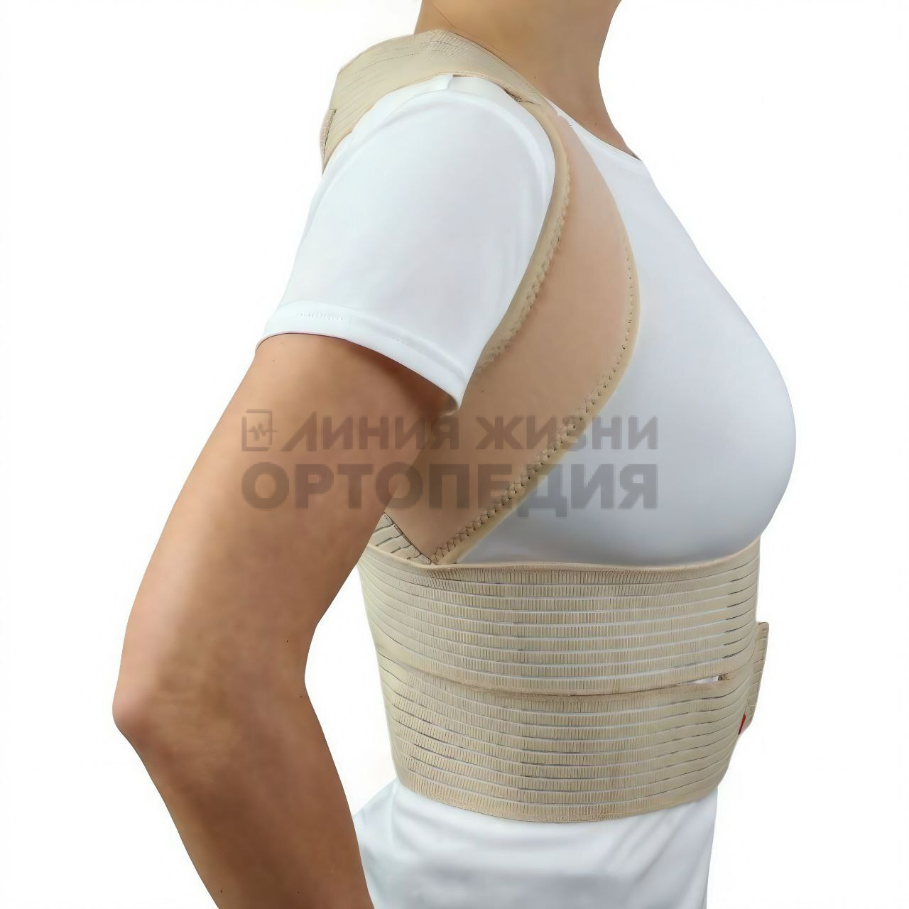 [138]Корректор осанки "VARITEKS"