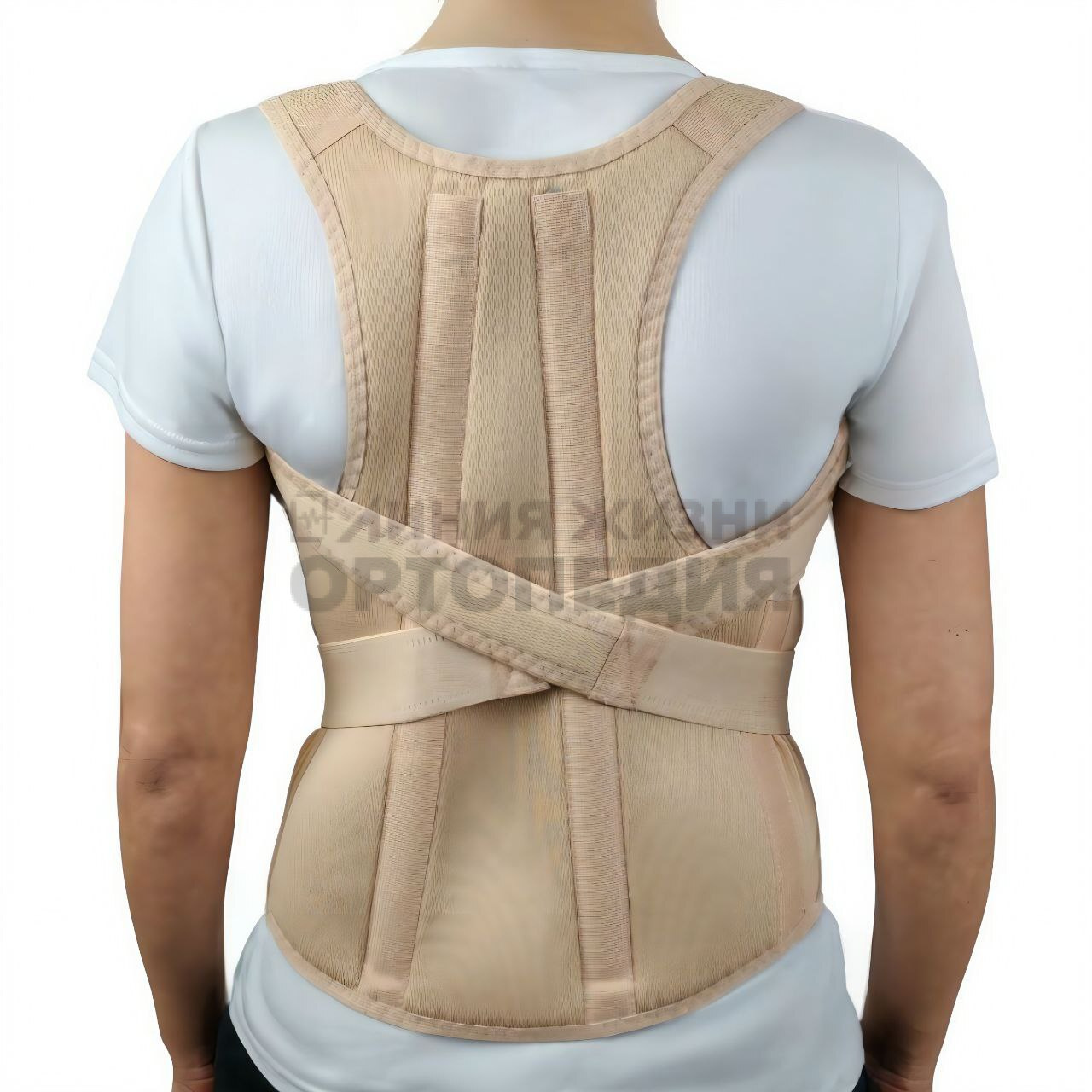 [Т.50.13] Корректор осанки