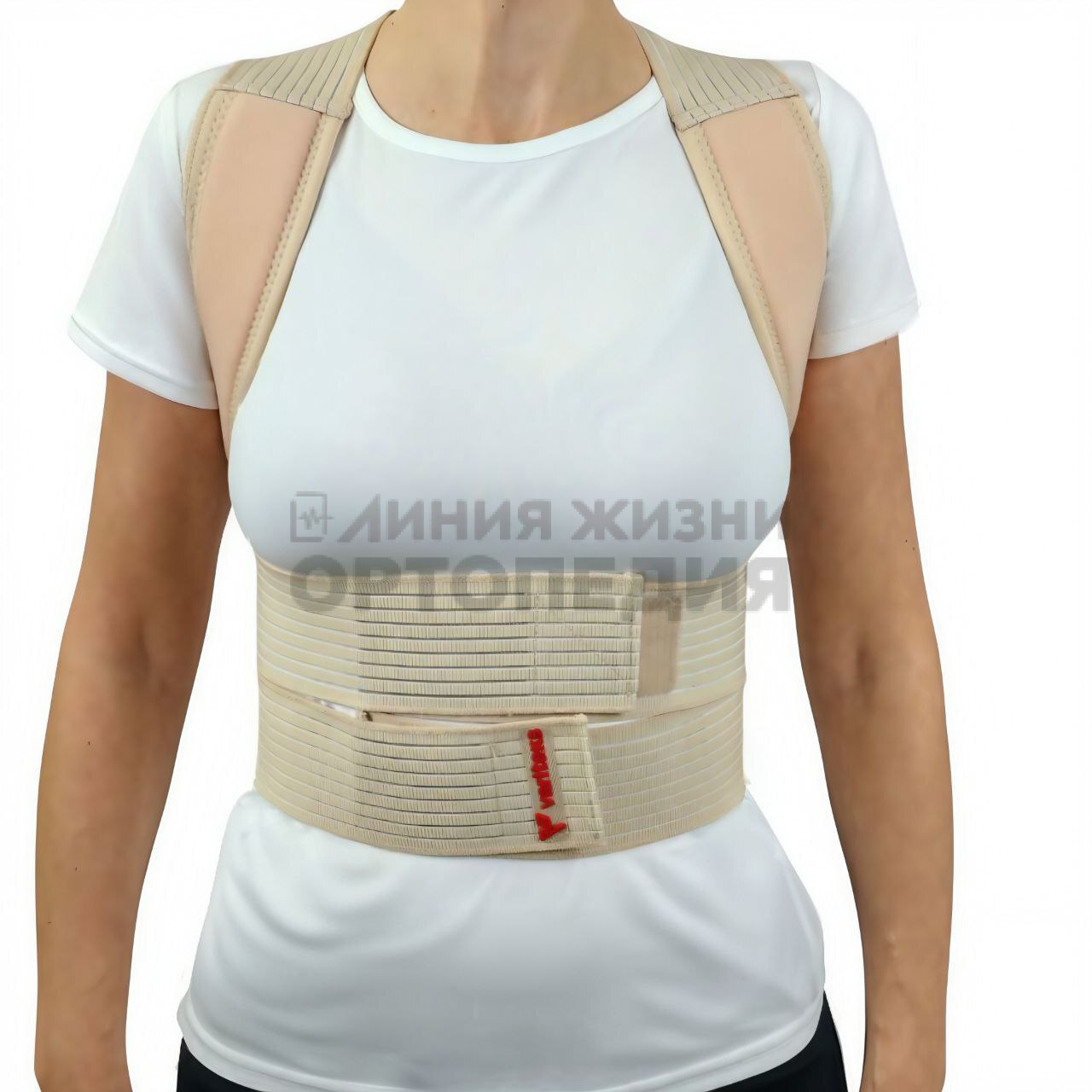 [138]Корректор осанки "VARITEKS"