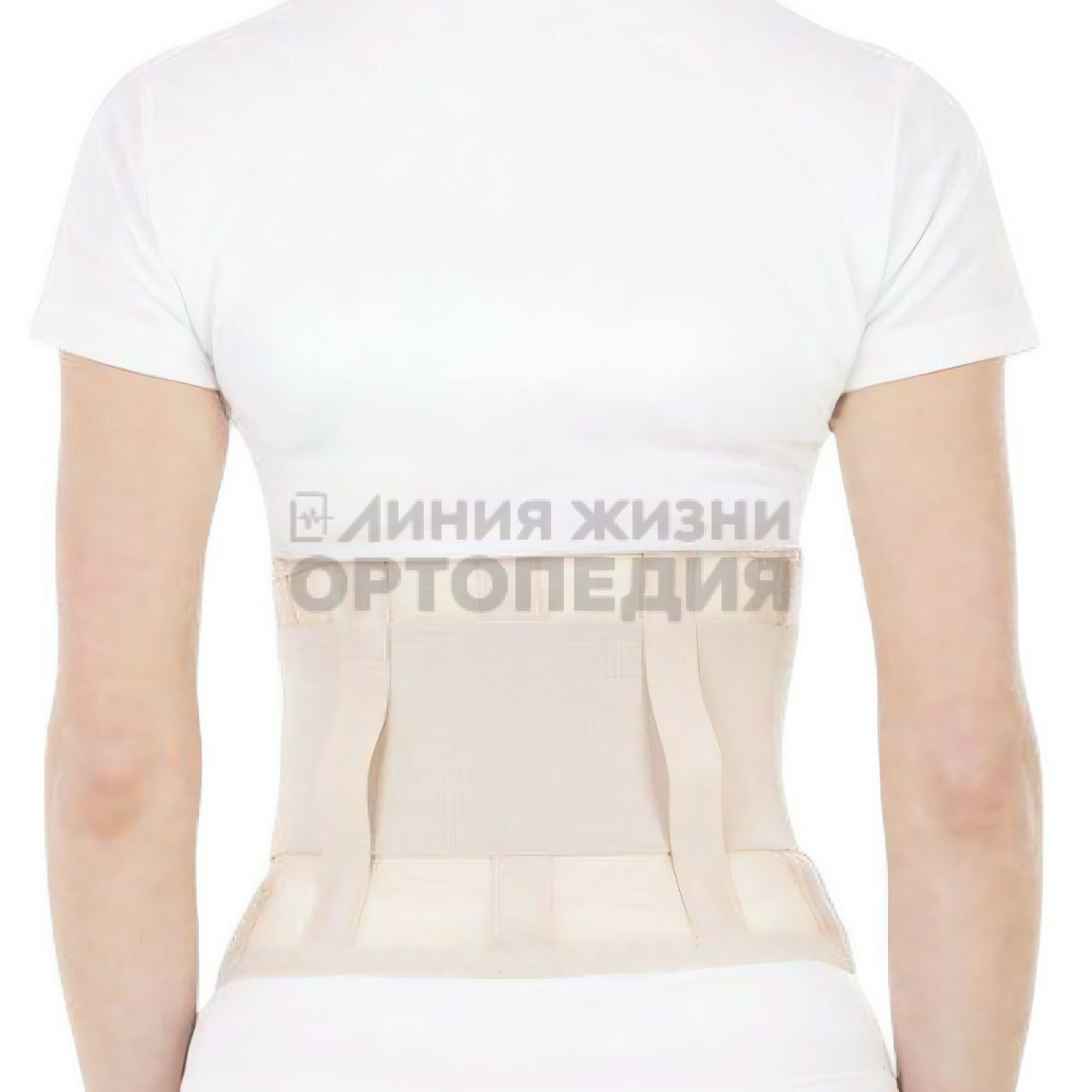 [Т.26.12] Бандаж ортопедический на брюшную стенку
