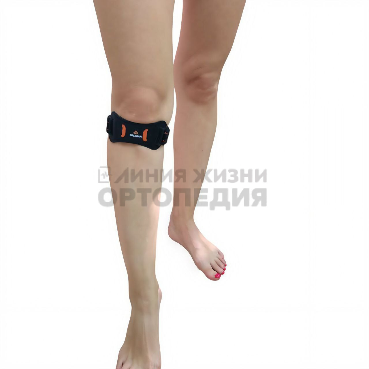 [SP110] Бандаж надколенный универсальный