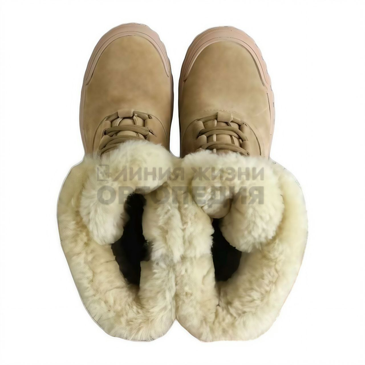 [EL129-JR014] Ботинки женские