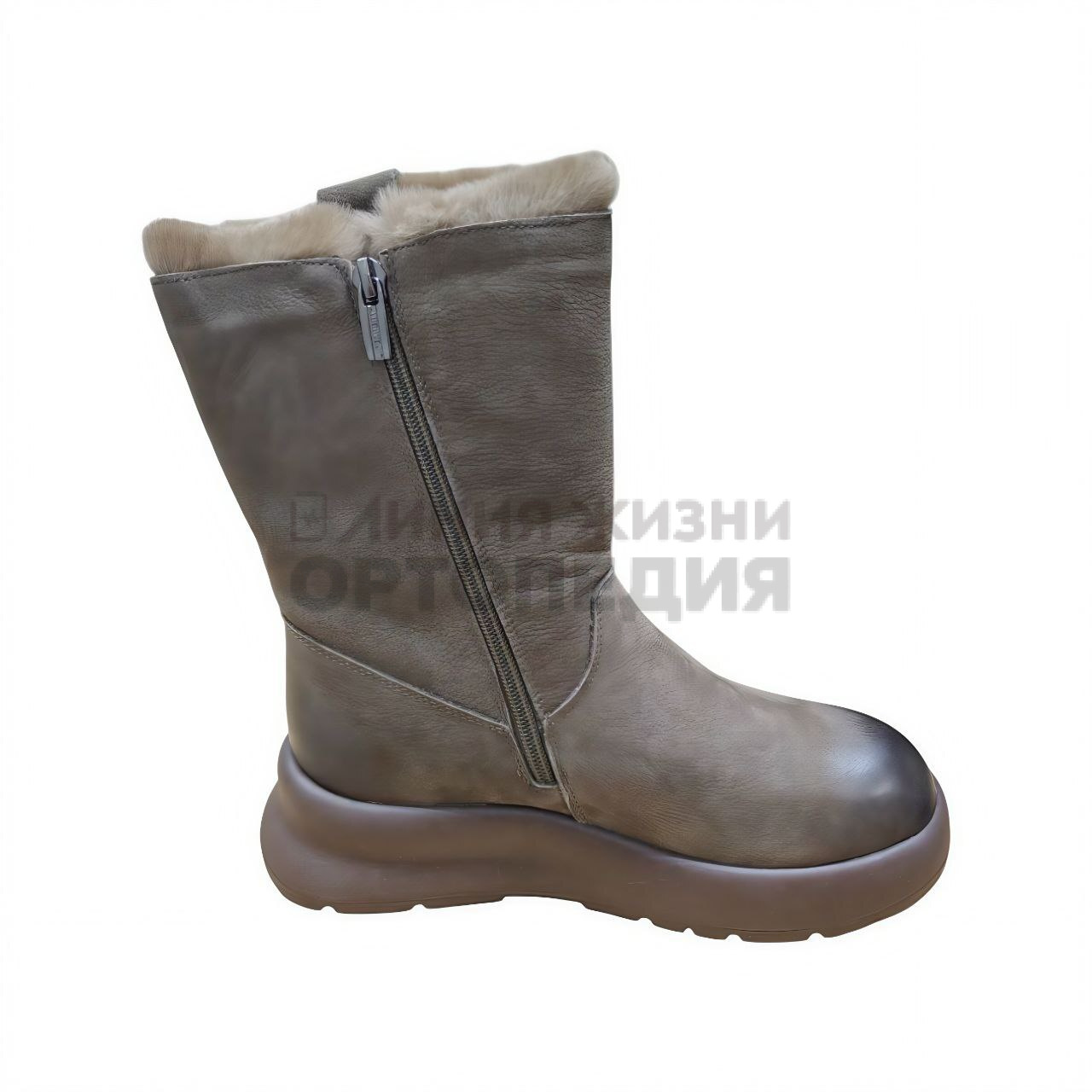 [Z53-ZM201-5], Полусапоги женские, цвет зеленый (LIFEXPERT)