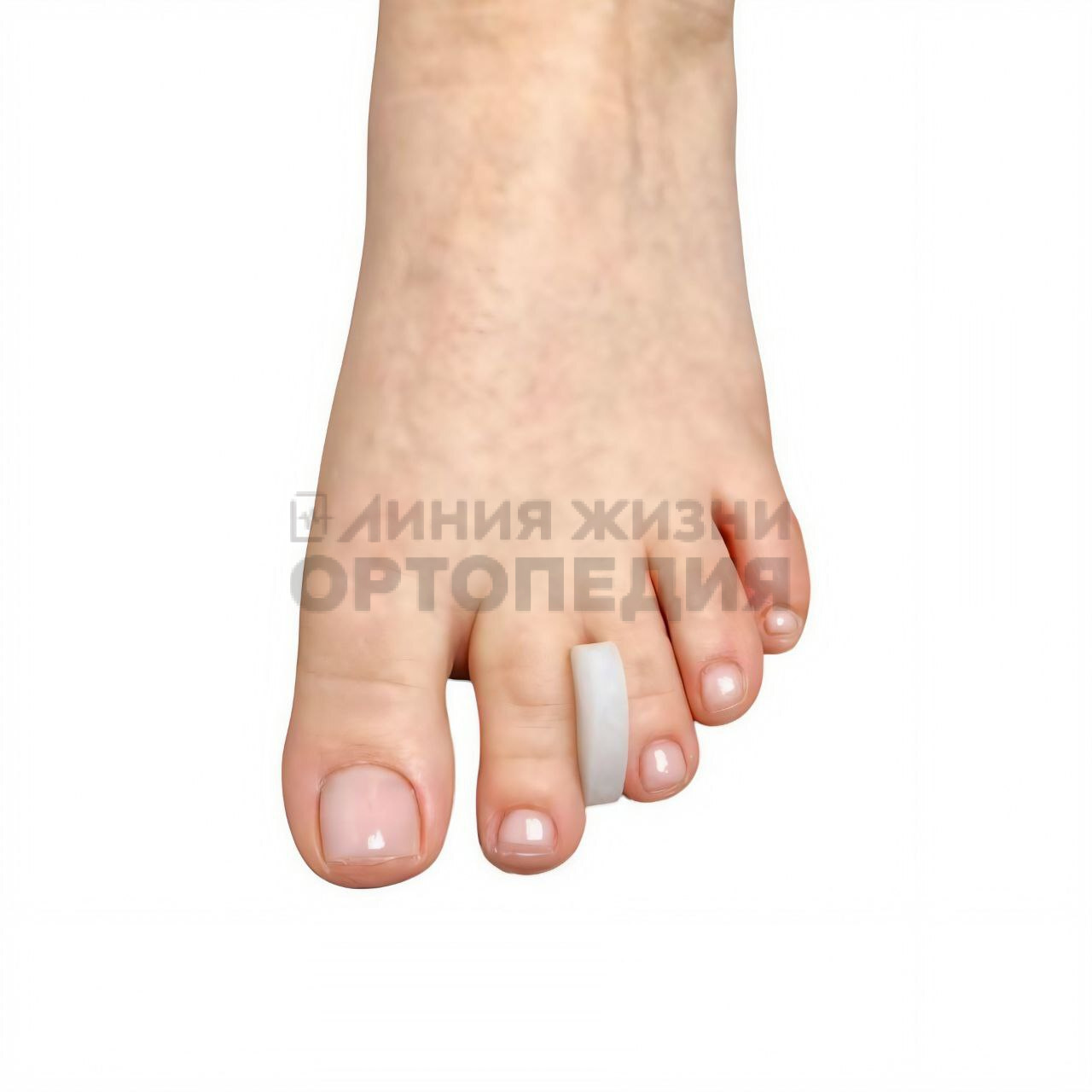 [14 С] Корригирующая прокладка