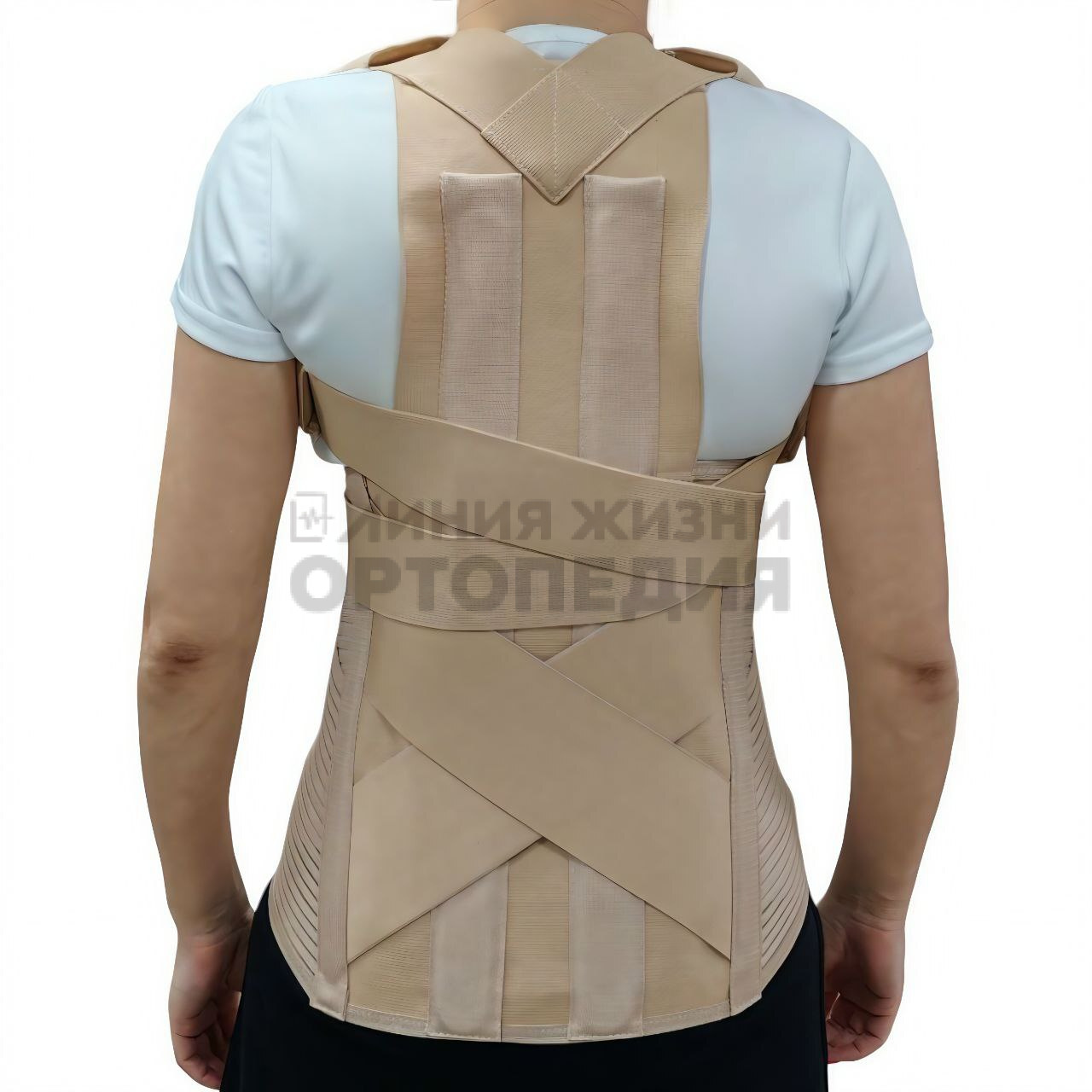[Т.50.20] Корректор осанки
