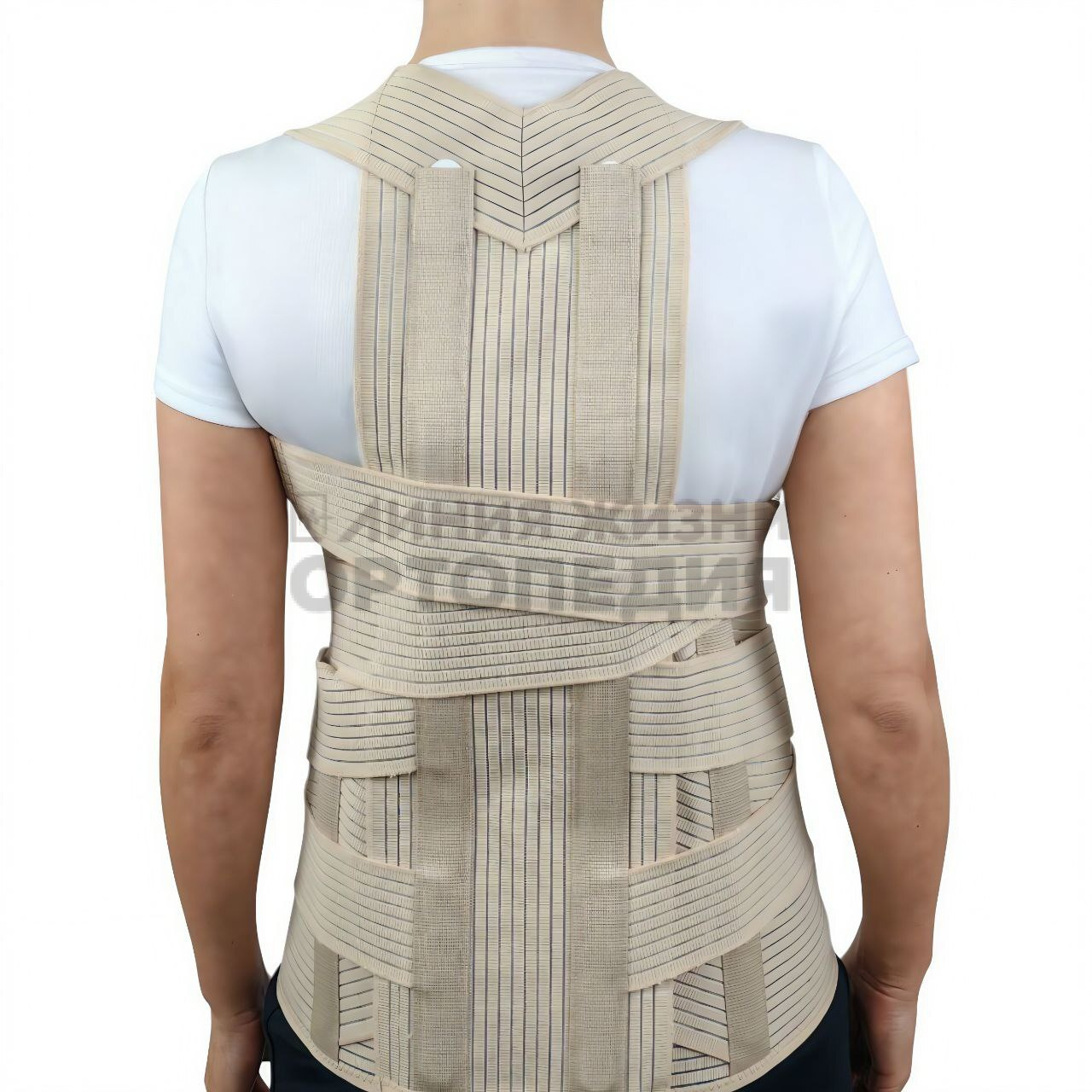 [140]Корректор осанки медицинский "VARITEKS" грудопоясничный