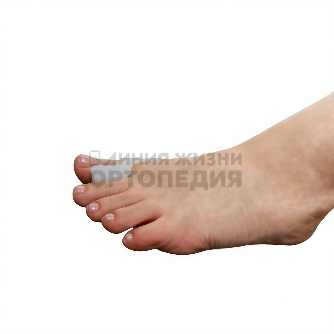 [201 С] Бурсопротектор 1-го пальца с межпальцевой перегородкой