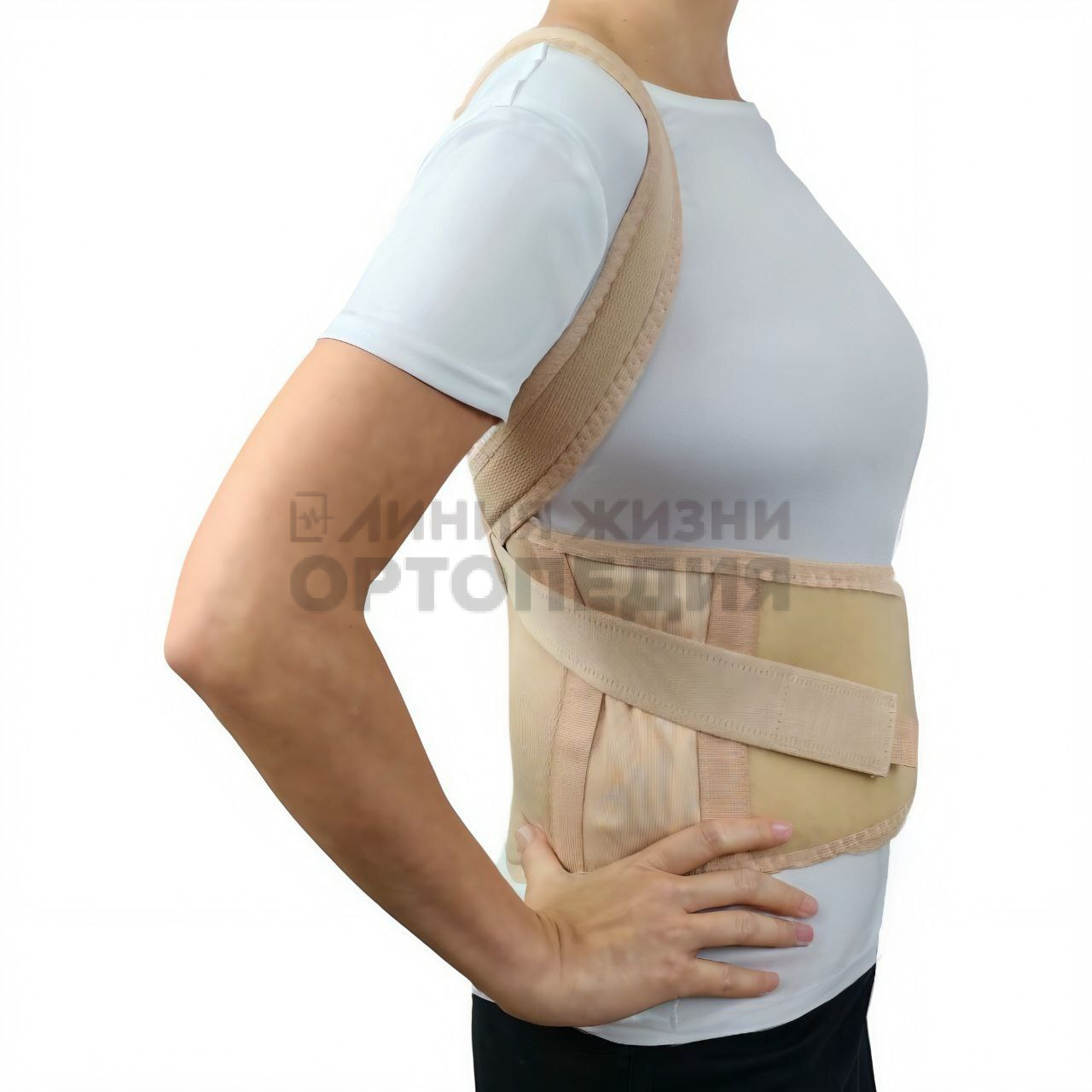 [Т.50.13] Корректор осанки