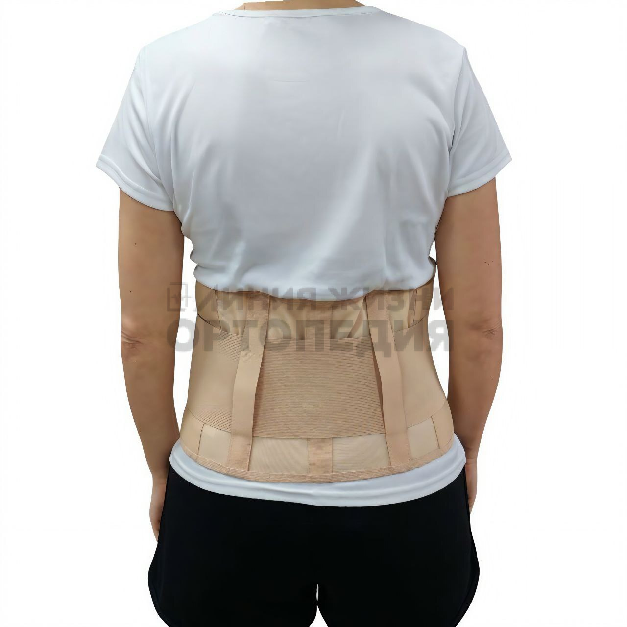 [Т.26.11] Бандаж ортопедический на брюшную стенку
