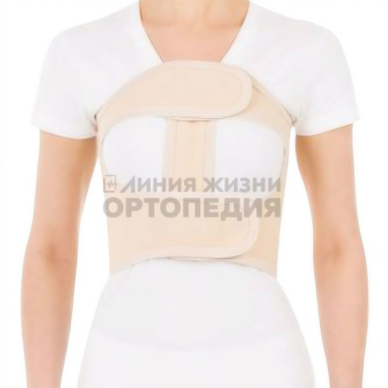 [Т.23.08] Бандаж ортопедический на грудную клетку (женский)