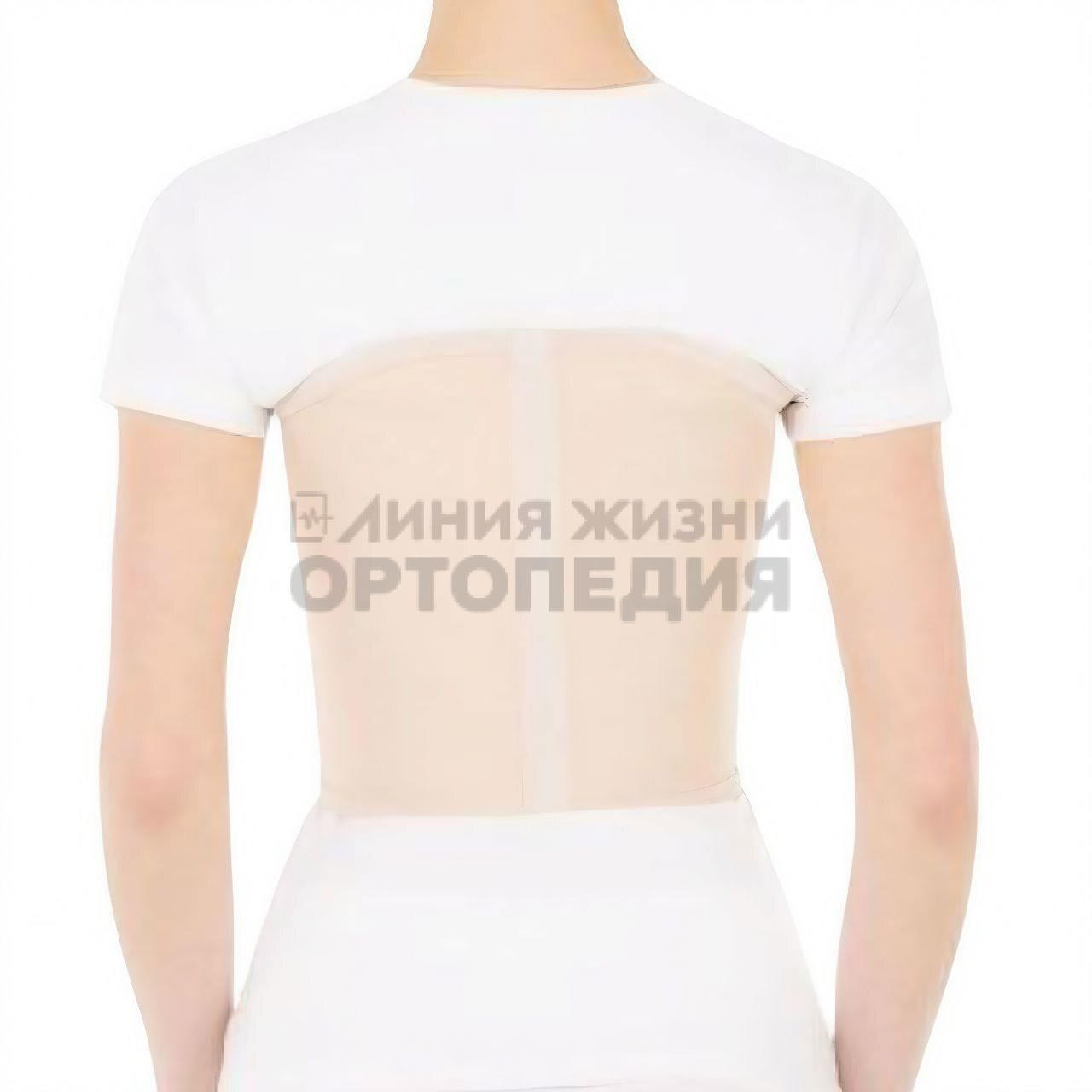 [Т.23.08] Бандаж ортопедический на грудную клетку (женский)