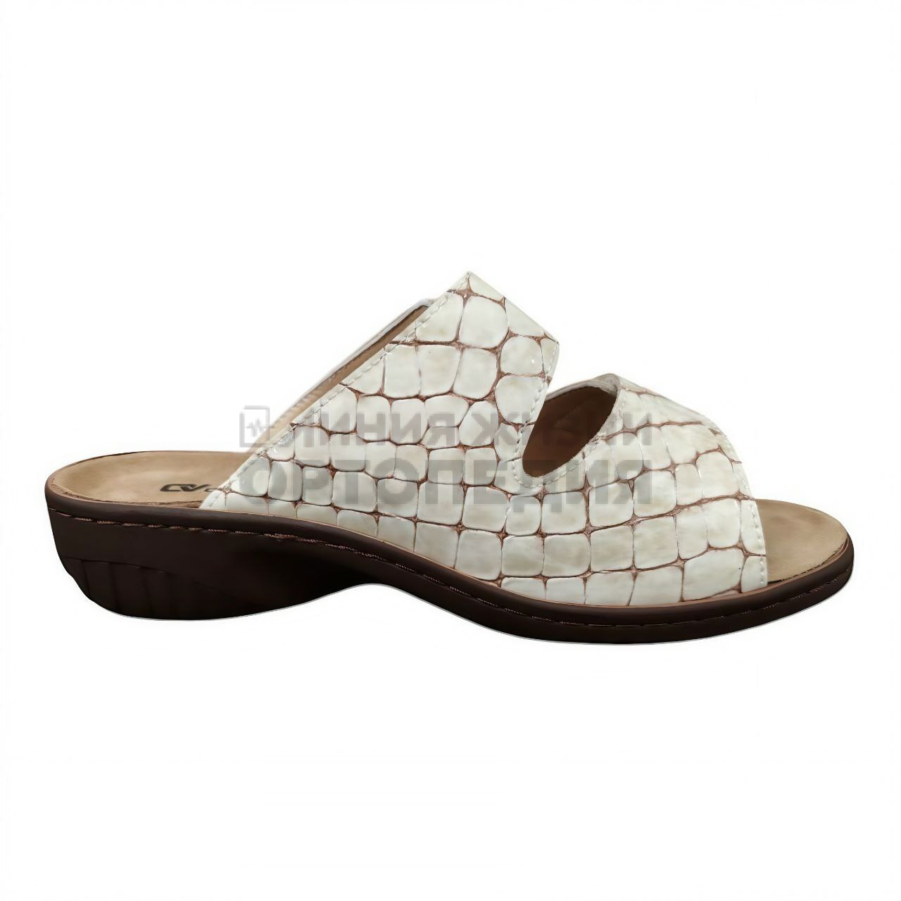 [375]Шлепанцы женские, цвет бежевый (ORTHOVITA COMFORT SHOES)