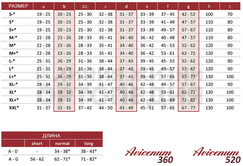 Авиценум 360, гольфы антиварикозные с носком 2 класс Normal цвет:9999, размер:S