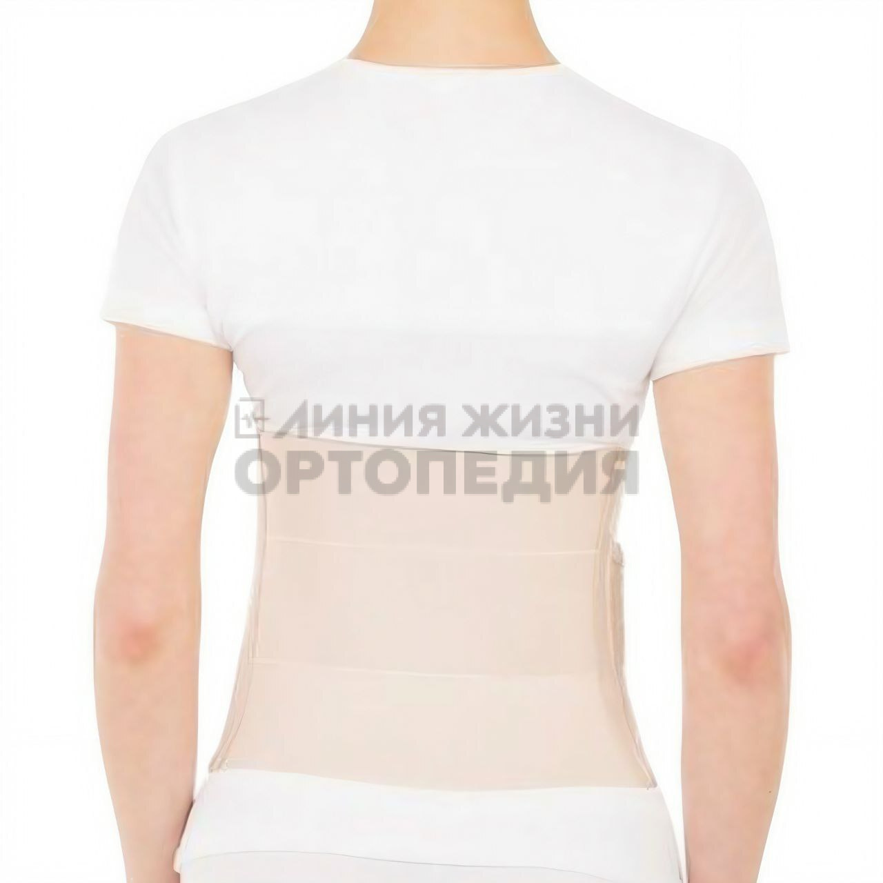 [Т.26.04] Бандаж ортопедический на брюшную стенку
