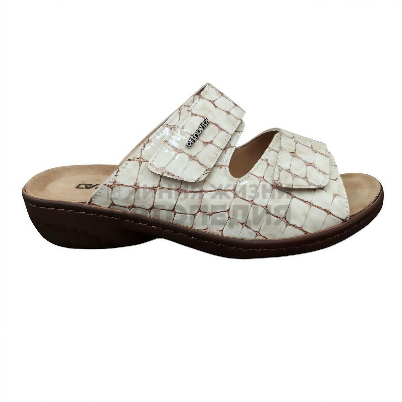 [375]Шлепанцы женские, цвет бежевый (ORTHOVITA COMFORT SHOES)