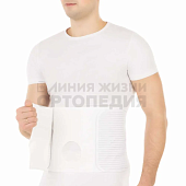 Товар Бандаж ортопедический на брюшную стенку, Т.26.06 — интернет-магазин «Линия жизни»